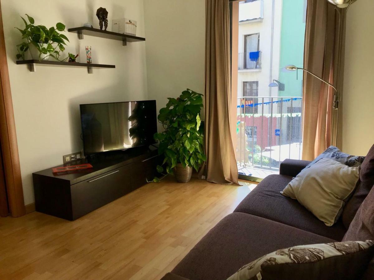 Apartament La Brasera Olot Extérieur photo