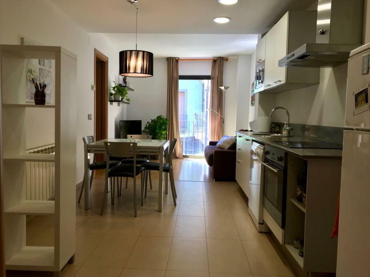 Apartament La Brasera Olot Extérieur photo